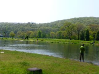 P1000121.jpg