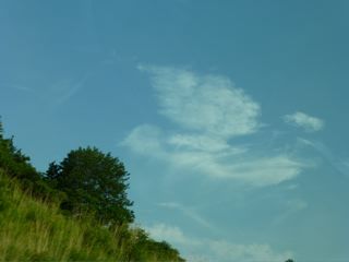 P1000268.jpg
