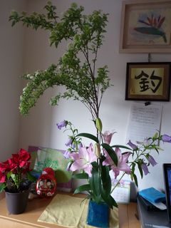 P1000664.jpg